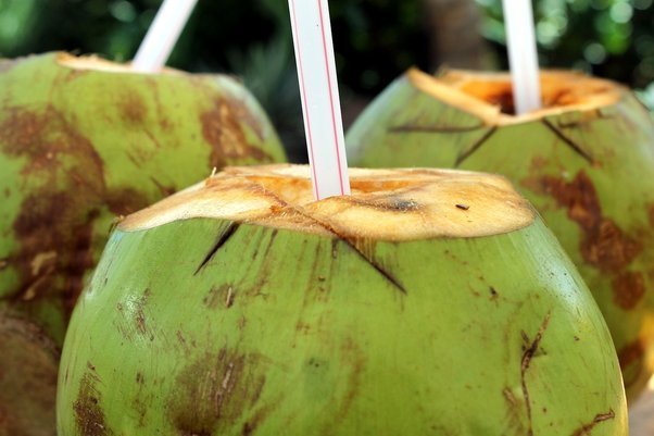kishangarh coconet water